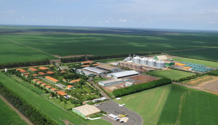Fazenda Progresso – Sebastião Leal PI (8)